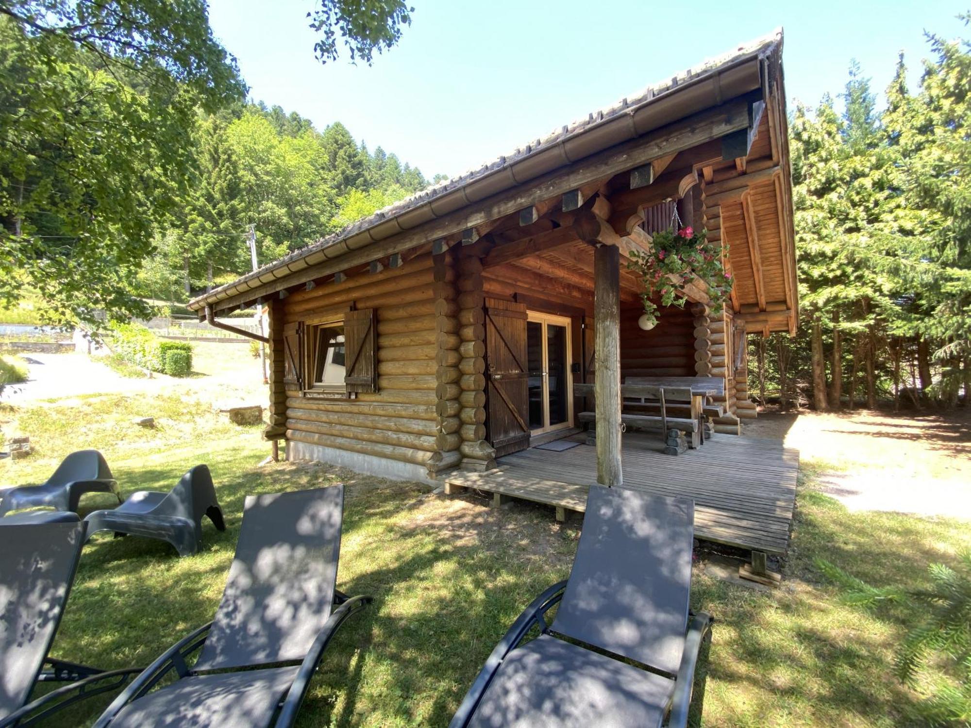 L'Oursblanc Chalet En Rondins La Bresse Kültér fotó